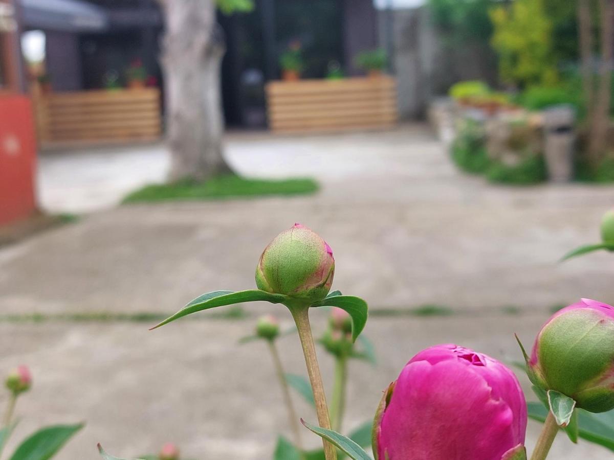 צקאלטובו Sweet Village מראה חיצוני תמונה