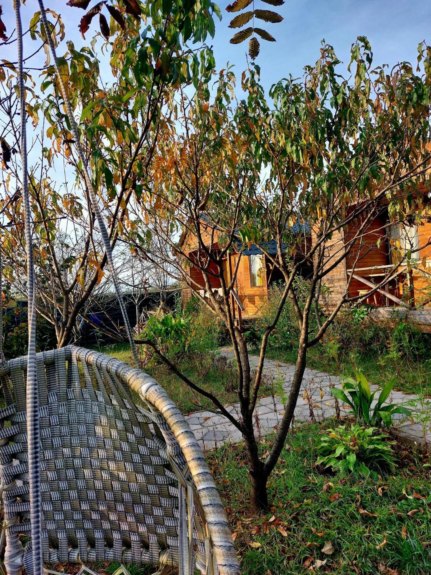 צקאלטובו Sweet Village מראה חיצוני תמונה