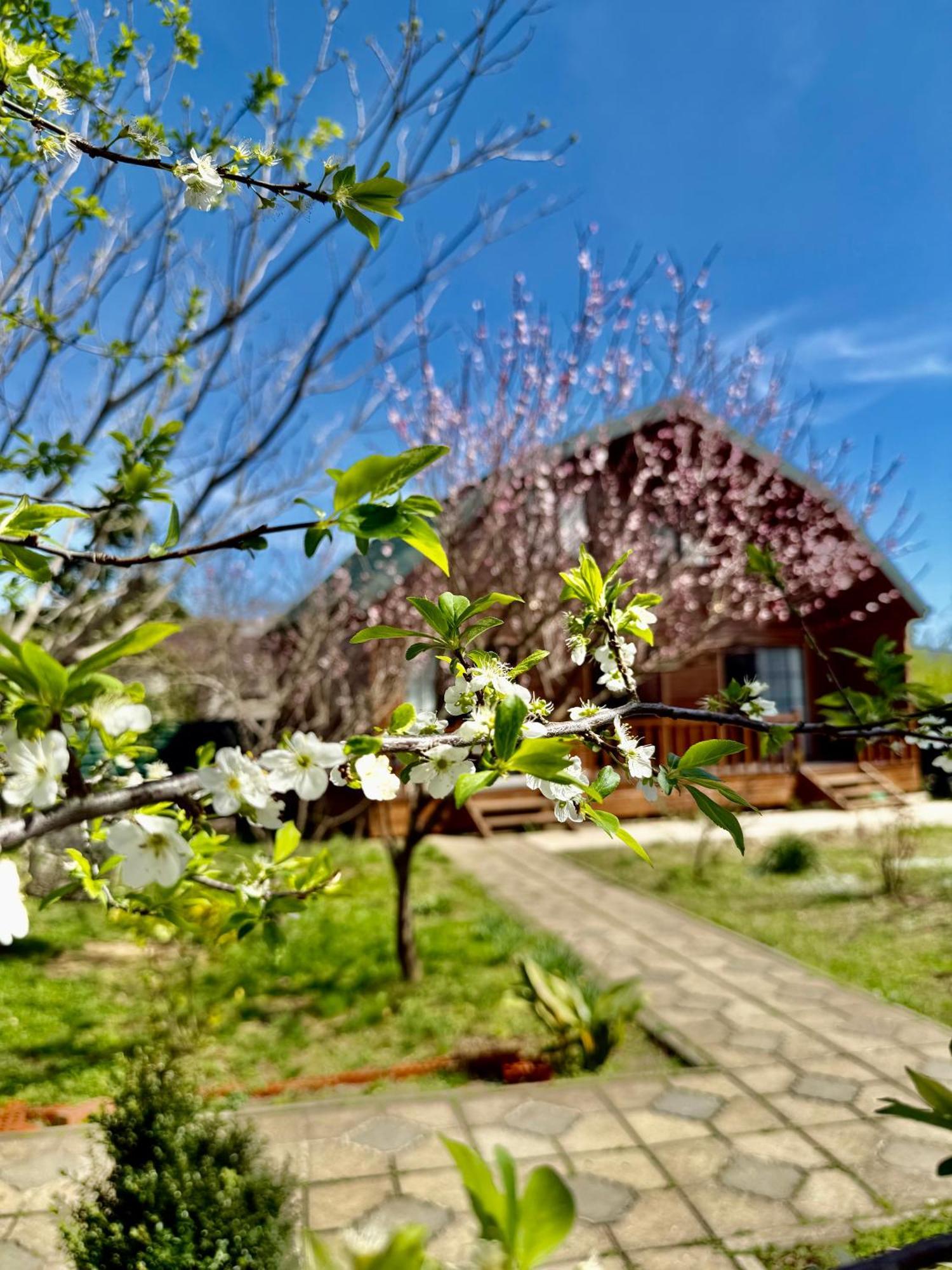 צקאלטובו Sweet Village מראה חיצוני תמונה